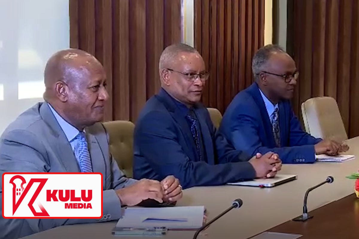 Tplf Leaders in addis Ababa