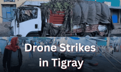Drone Strikes in Tigray