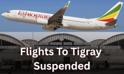 Ethiopian Airlines Suspended Flights To Tigray - Kulu Media