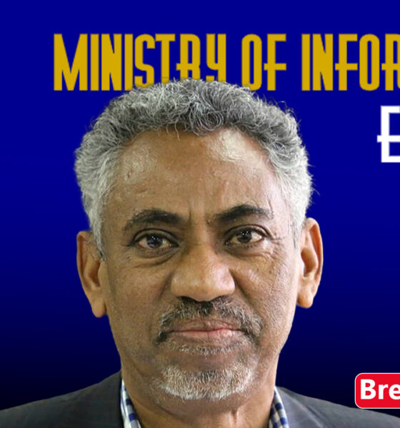 Breaking: Eritrea Rejects Ethiopia's "Fabricated" Accusations, Sees "Ulterior Agenda"